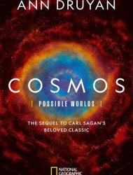 Cosmos: Possible Worlds saison 1