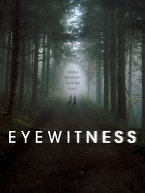 Eyewitness saison 1