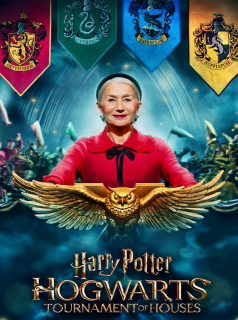 Harry Potter: Hogwarts Tournament of Houses saison 1