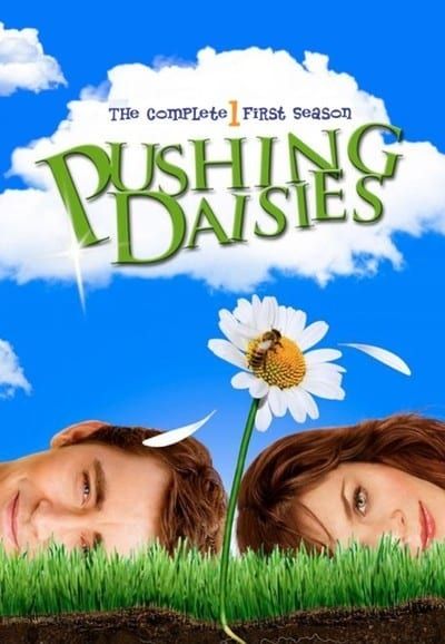 Pushing Daisies saison 1